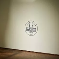 Natural History Museum Window Leaner Mirror, 60x90cm 10 Natural History Museum Window Leaner Mirror, 60x90cm -All Mirrors Store 30753699 alt03