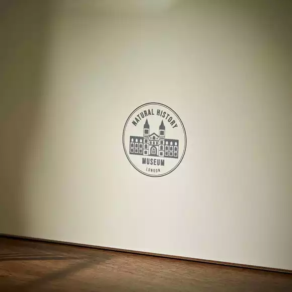 Natural History Museum Window Leaner Mirror, 60x90cm 6 Natural History Museum Window Leaner Mirror, 60x90cm - Image 4